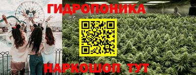 круглые Гай
