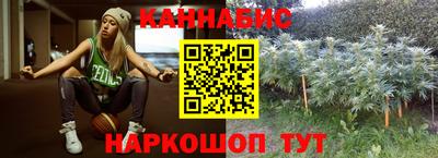 спиды Гатчина
