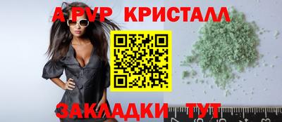 спиды Гатчина